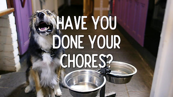 Do Your Chores